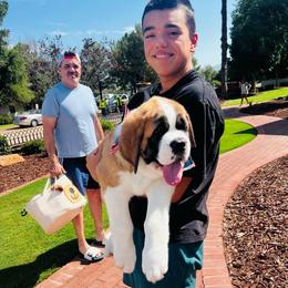 Waffles - Orange and white male Saint Bernard puppy in Double Springs, Alabama from St Bernard Kingdom, LLC