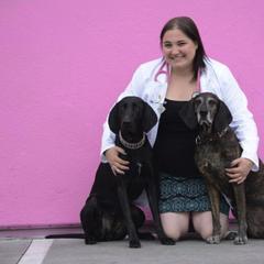 Plotts from Badlands Plotts