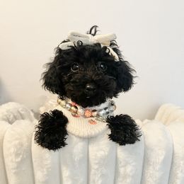 Purple Collar - Black female Goldendoodle puppy in Gilbert, Arizona from Desert Paws Doodles