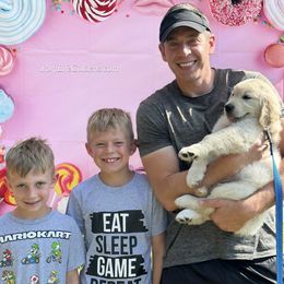 Golden Retriever Puppies from Ruff Life Goldens