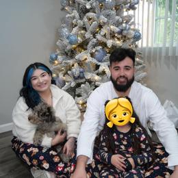 Goldendoodle Puppies from 24 Karat Doodles