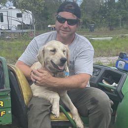 Beach - Golden Retriever