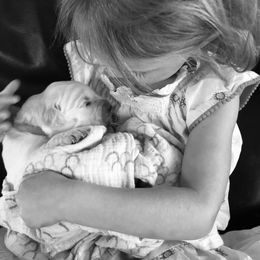 Golden Retriever Puppies from Montana Puppies