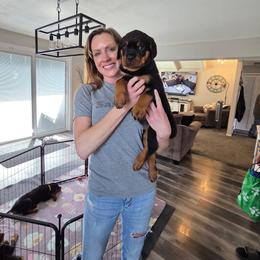 Green Boy - Black and mahogany male Rottweiler puppy in Lebanon, Oregon from SOUTH SANTIAM ROTTWEILERS
