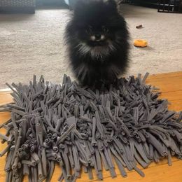 Pomeranian Puppies from Glitzypoms