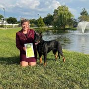 Stab - Beauceron