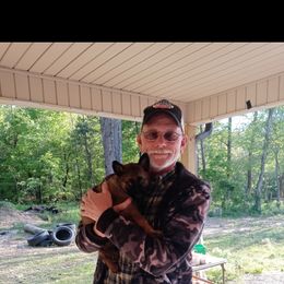 German Shepherd Puppies from Rammstein Kennels