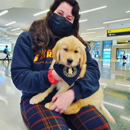 Golden Retriever Puppies from Golden Meadows of Utah