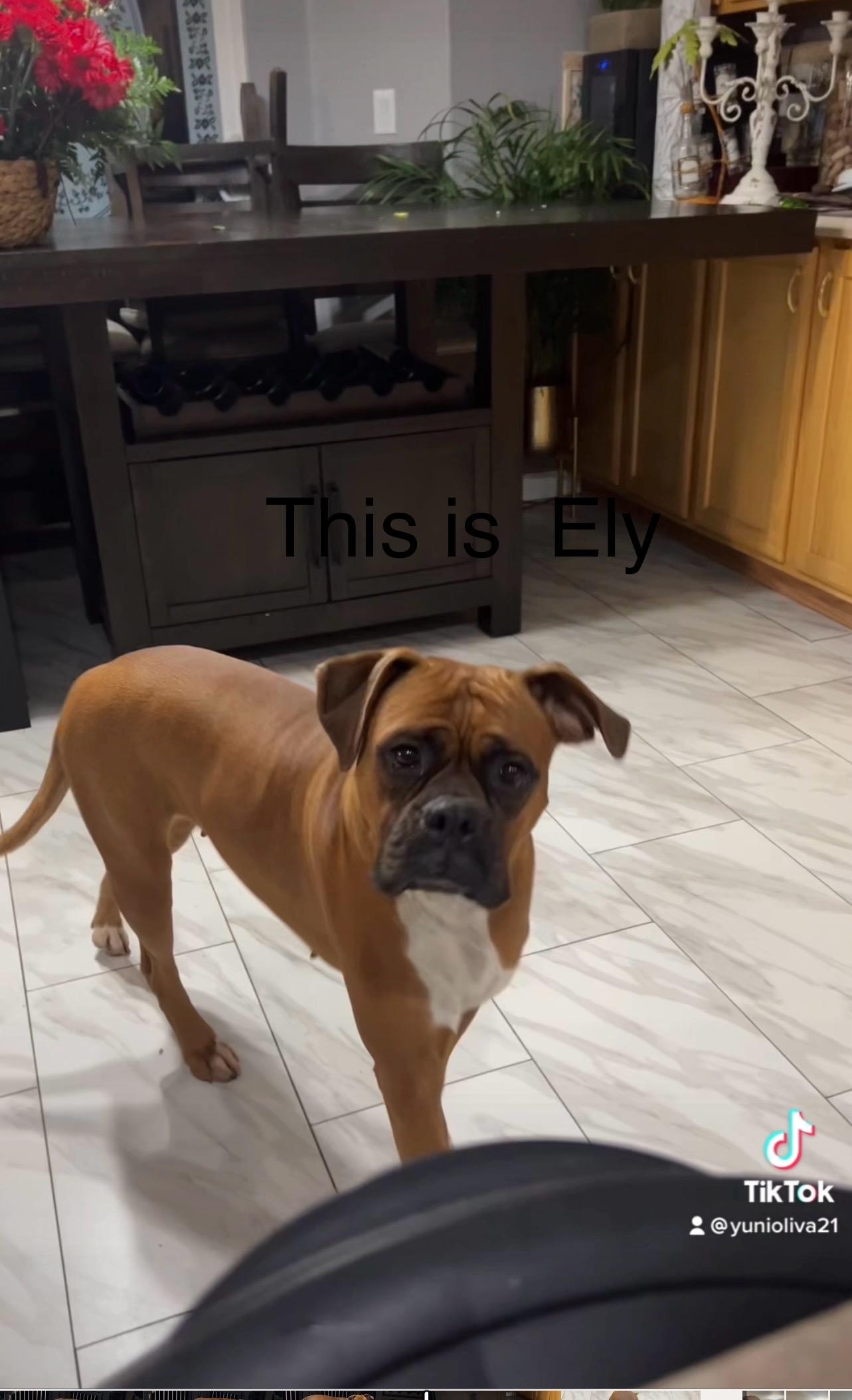 Ely