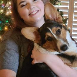 Pembroke Welsh Corgi Puppies from Dream Catcher Corgis
