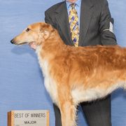 Kenickie - Borzoi