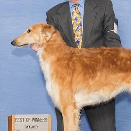 Kenickie - Borzoi