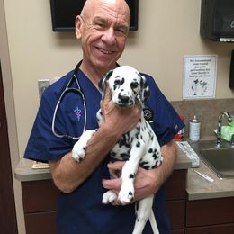 Dalmatian Puppies from Stagecoach Dalmatians