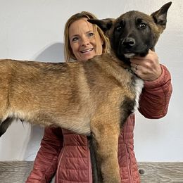 Boy 2 - Belgian Malinois puppy in Sublette, Kansas from Abby's Belgian Malinois