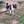 Unnamed
