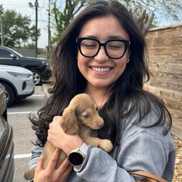 Leslie AKC (parents embark tested) - Cream female Dachshund puppy in Magnolia, Texas from J&R Macias Dachshunds
