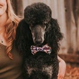 Goldendoodles and Poodles from Fancy Goldendoodles and Poodles