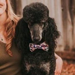 Goldendoodles and Poodles from Fancy Goldendoodles and Poodles