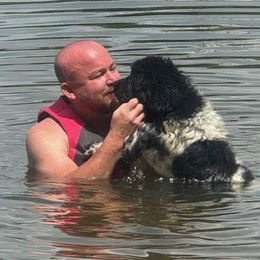 Newfoundland Puppies from K & L Ranch