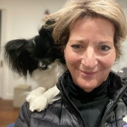 Papillon All Grown Up from DogBond Papillons