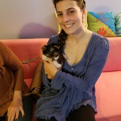 Yorkshire Terrier Puppies from Mine and Yorkies