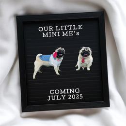 Pug puppies from Cameo's Pugs