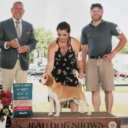 Tsula - Red and white female Beagle puppy in Brockway, Pennsylvania from Sugar Hill Hounds