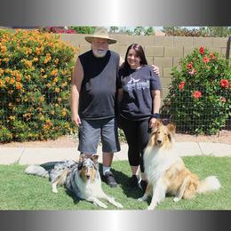 Collies from Sperling's Rough Collies