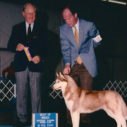 Rosie - Siberian Husky