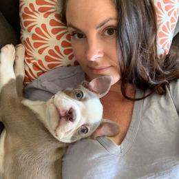 Boston Terrier Puppies from Lola’s House of Bostons & Rescue