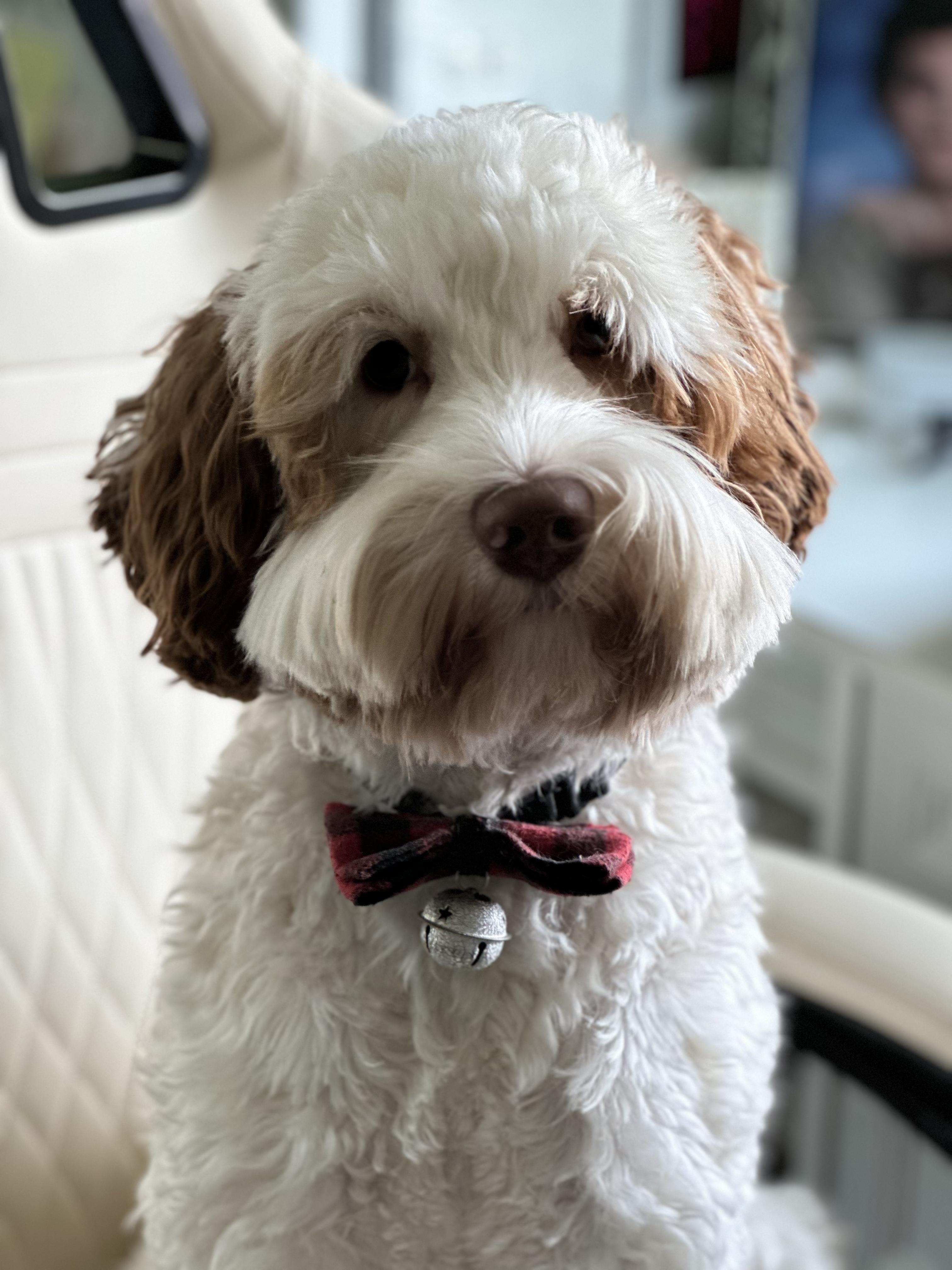 Duncan