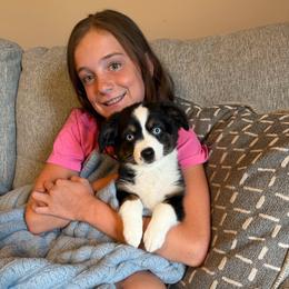 June - Black tri female Miniature Australian Shepherd puppy in Washington, Indiana from Southern Indiana Mini Aussies