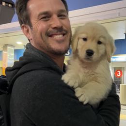 Golden Retriever Puppies from Evergrace Goldens