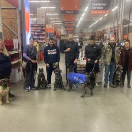 Cane Corso Puppies from Ironhide Cane Corso Italiano Kennels