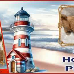 Shih Tzu Puppies from Mtn Top Royal Shih Tzu