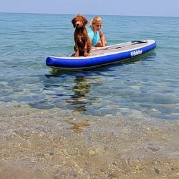 Goldendoodle Puppies from Doodle Devotion