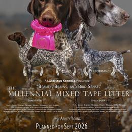 German Shorthaired Pointer puppies from LakeHaus Kennels
