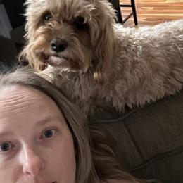 Mae - Cavapoo