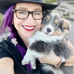 Pembroke Welsh Corgi Puppies from Storybook Corgis