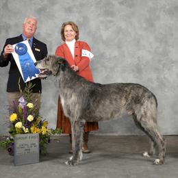 Irish Wolfhound Puppies from Boondocks Irish Wolfhounds