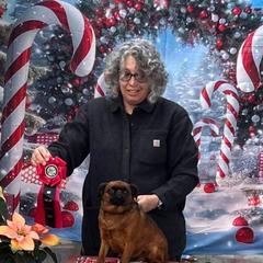 Tamar - Brussels Griffon