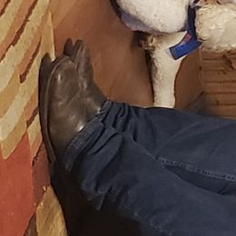 Aussiedoodles and Poodles from Pawsitive Foothills Pooches