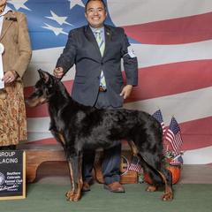 R’senal - Beauceron