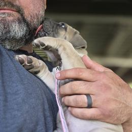 Cane Corso Puppies from HOUSE OF HALL CANE CORSOS