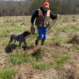 Wirehaired Pointing Griffon All Grown Up from Foggy Gap Griffons