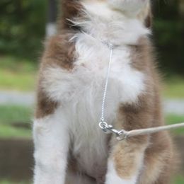 Australian Shepherds from Reinem-N-Kennels