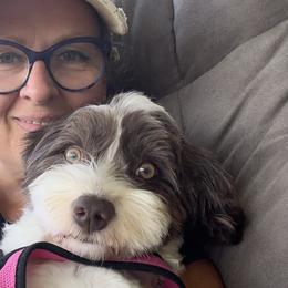 Havanese from Paw Print Havanese