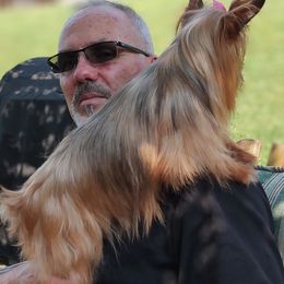 Bloodhound and Yorkshire Terrier All Grown Up from Buckingham Bloodhounds