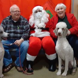 Poodle All Grown Up from Standard Poodles of Eason Farm