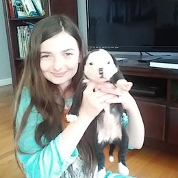 Alapaha Blue Blood Bulldog Puppies from Eclipse Alapaha Kennels